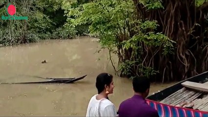 বাংলার আমাজন || Amazon of Bangladesh