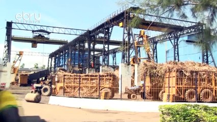 62 Billion Shillings Waiver Hailed In The Sugar Sector