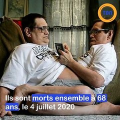 Les plus vieux siamois au monde son morts à 68 ans
