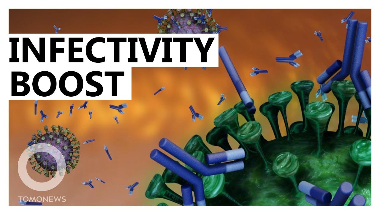 How COVID Became a More Efficient Virus: Scientists