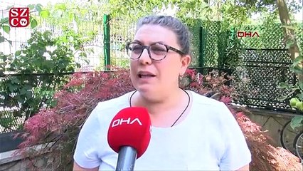 'Sineklerin virüsü taşıyabilme riski fazla'