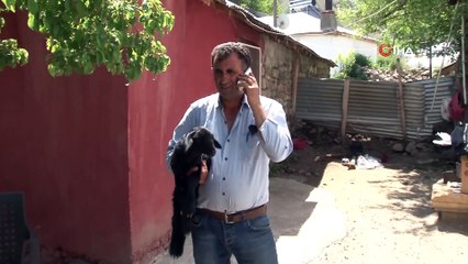 Depremzede Kuzuya Bebek Gibi Bakıyorlar