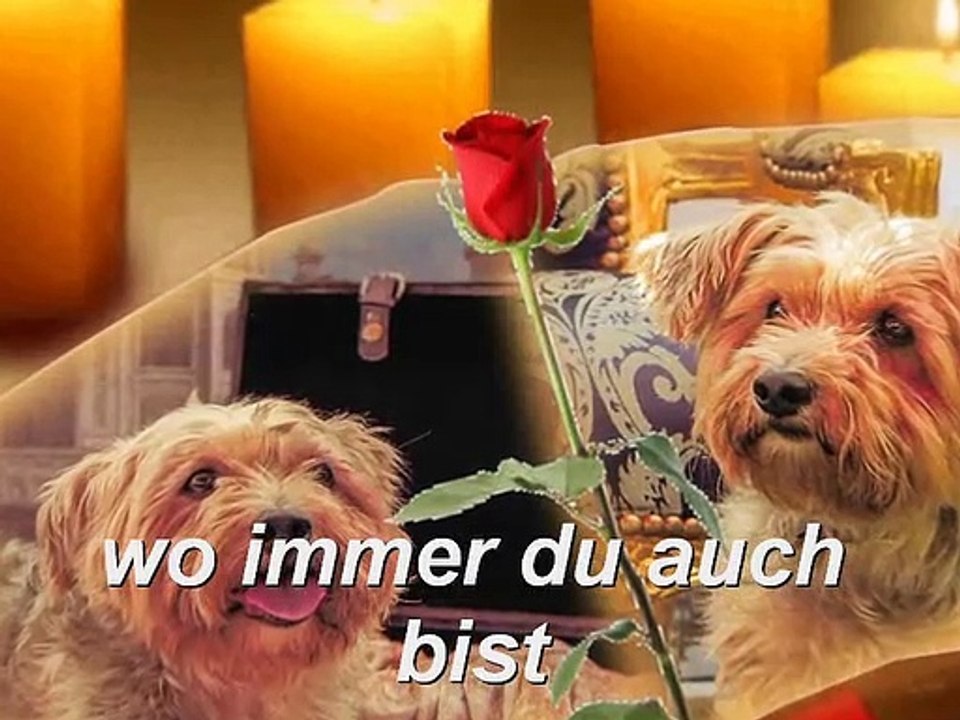 wo immer du auch bist