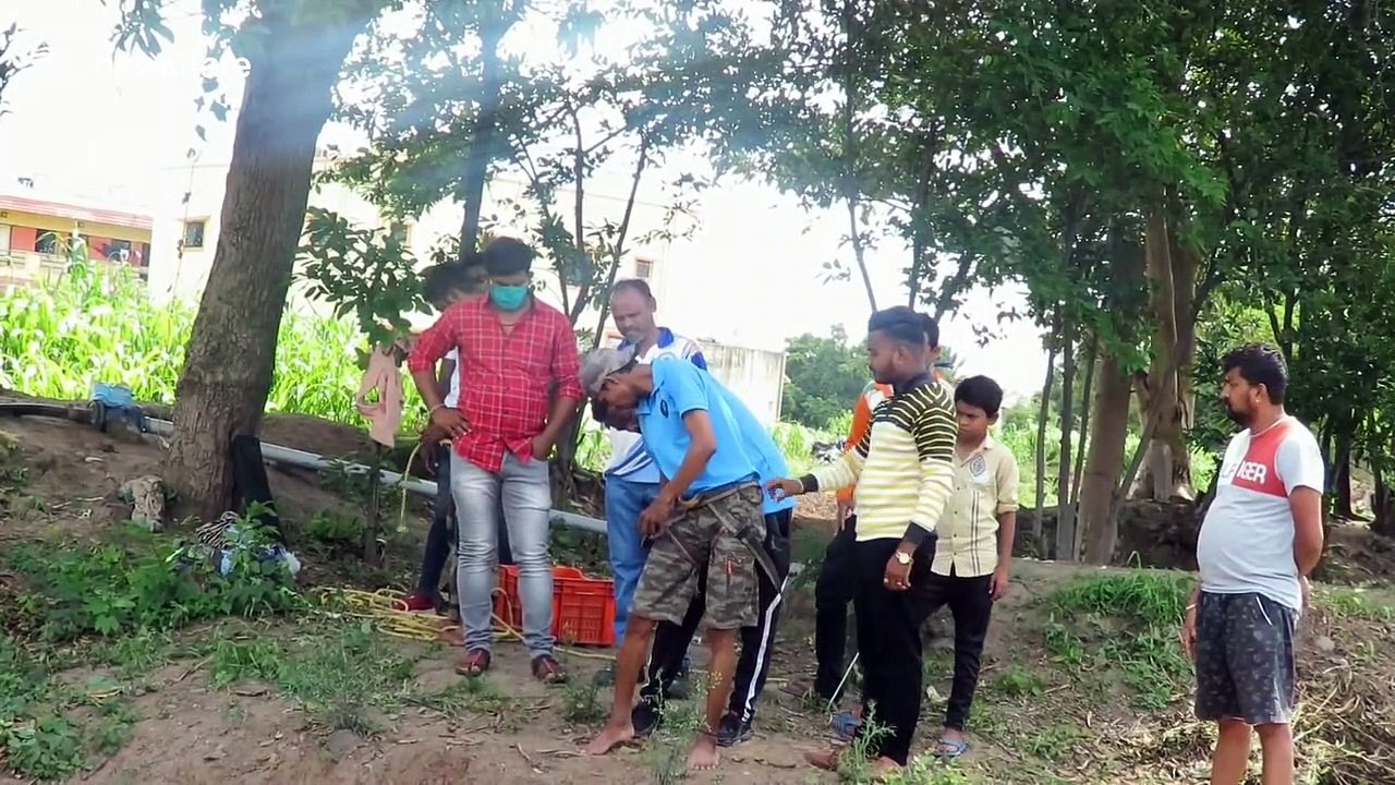 Two pups miraculously survive after falling into 70-foot well in India