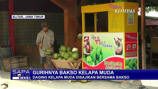 Wajib Coba Kelezatan Bakso Kelapa Muda yang Satu Ini!