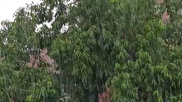 कानपुर में जोरदार बारिश शुरू