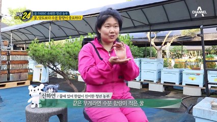 당도보다 중요한 것은 수분 함량?! 좋은 꿀 고르는 꿀팁♡