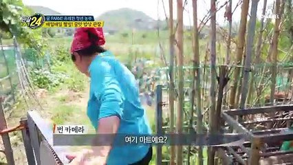 윤기 줄줄! 꿀 샤워한 ☆웰빙☆ 꿀맛 밥상 관찰!