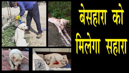 कोरोना संक्रमित लोगों के जानवरों को रखने का उठाया जिम्मा