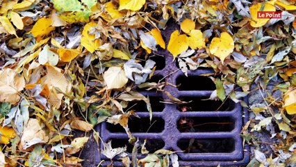 L'inquiétant retour du Covid-19 dans les eaux usées parisiennes