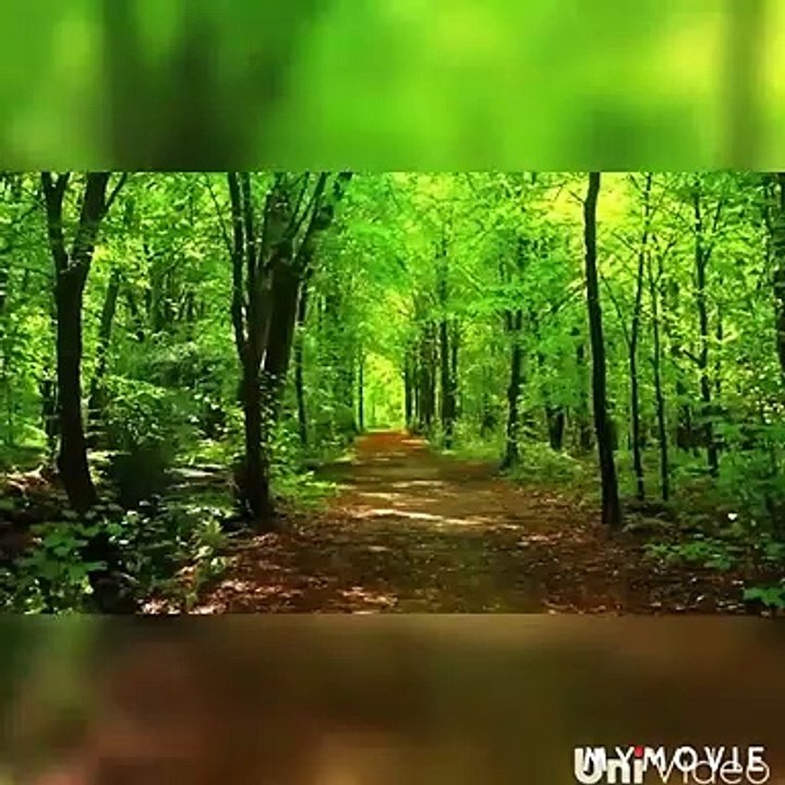 Ramayan me Hanuman ji Kaise nikkale srilanka ko