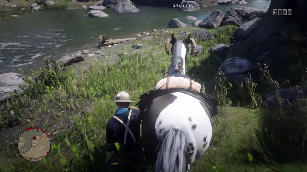 Red Dead Redemption 2 Online Localización de Objetos Colección de Monedas de 1800