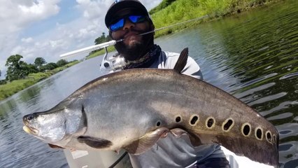 Big Exotic Fish on Micro Pen Rod