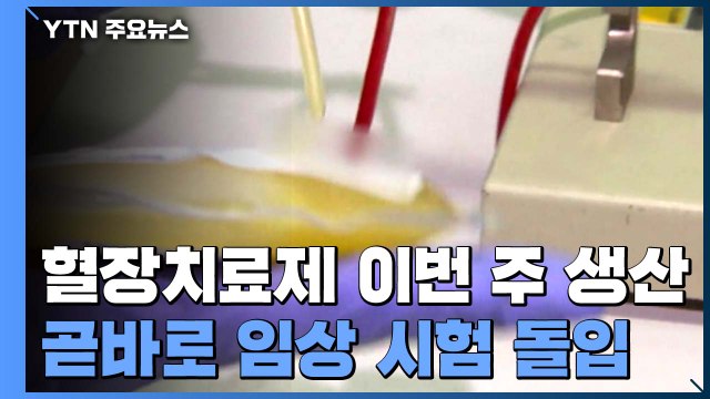코로나19 혈장 치료제 이번주 생산 뒤 바로 임상 시험 / YTN