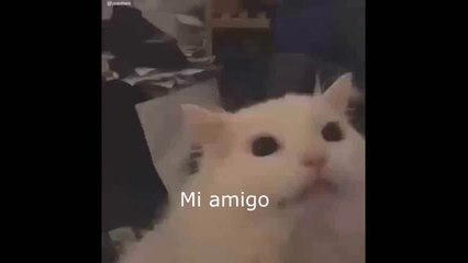 Si sale alguien de 5 estrellas de preferencia se acaba el video