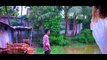 Nature | Village | Filmmaking | Travel Videos | Bangladeshi Traveller | A Film by Emdadul Hoque