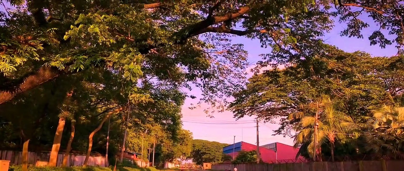 A Railway Station | Cinematic | Natural | Filmmaking | Travel Video | Travel Vlog | A Film by Emdadul Hoque