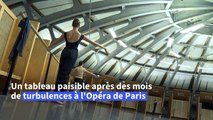 Après la tempête, les danseurs de l'Opéra accrochés à la barre