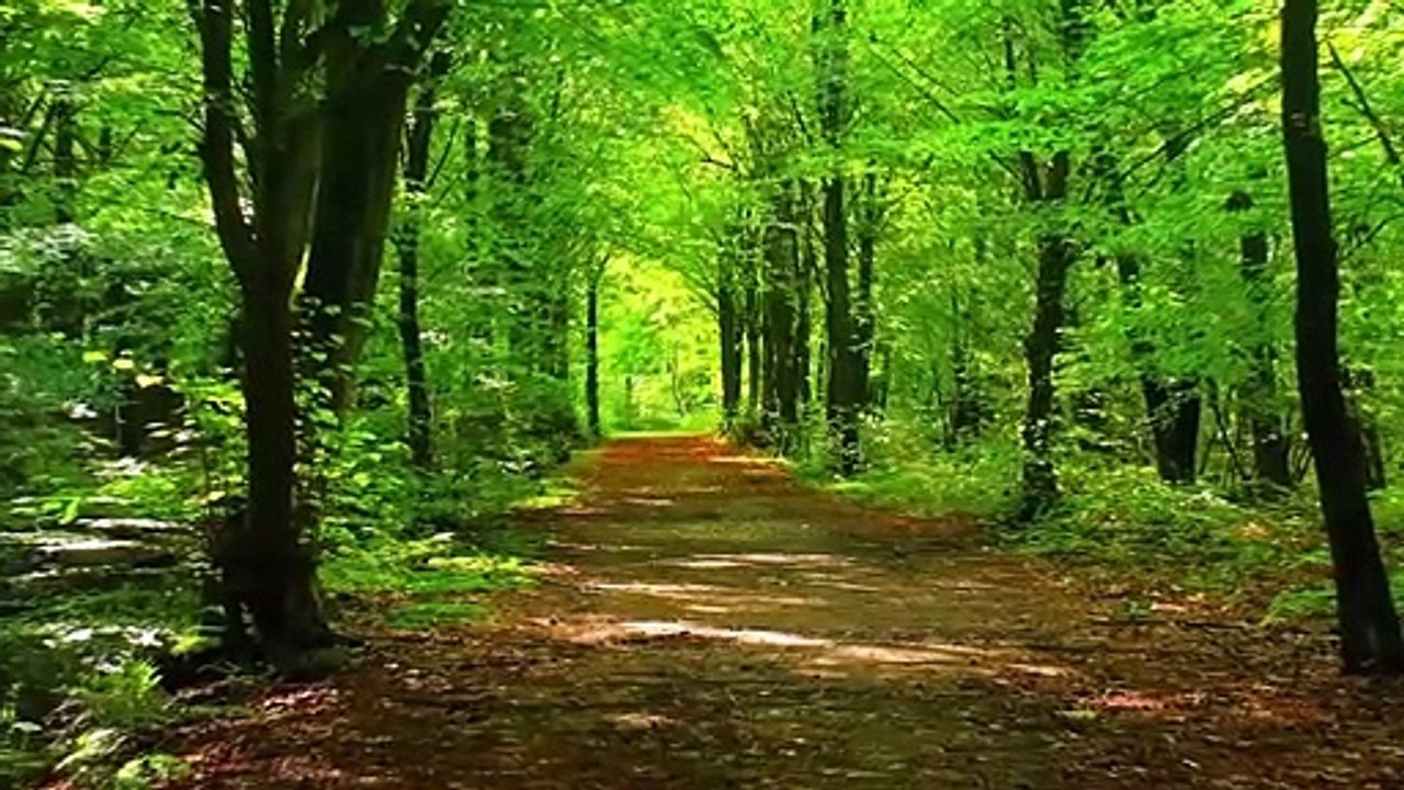 Nature Beauty
