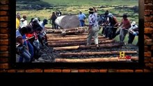 Easter Island