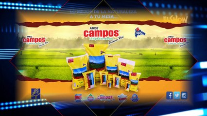 Color Visión EN VIVO (1585)