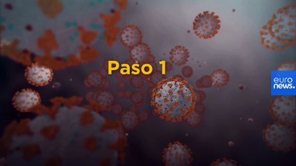 ¿Cómo se aprueba una vacuna en Europa? El proceso, explicado