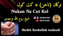 نوکان ناخن نہ کٹ کول | Nukan na cut kol | sheikh Roohullah tauheedi | شیخ روح اللہ توحیدی | Nakhun