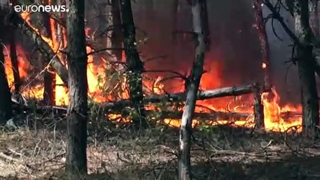 В Луганской области бушуют лесные пожары