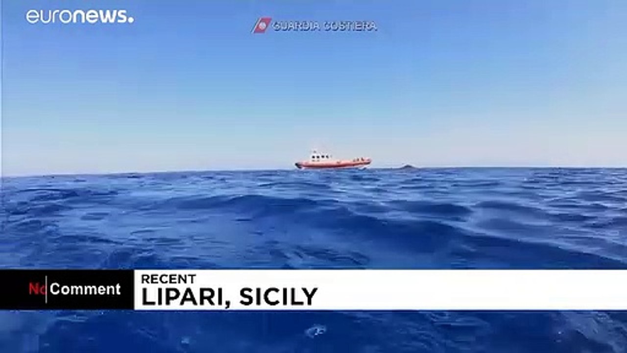 Des cachalots, espèce en danger, repérés au lar...