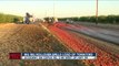 Check This Out: Big rollover spills load of tomatoes