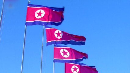 CVID 다시 꺼낸 美...또 '北 불량국가' 딱지 / YTN