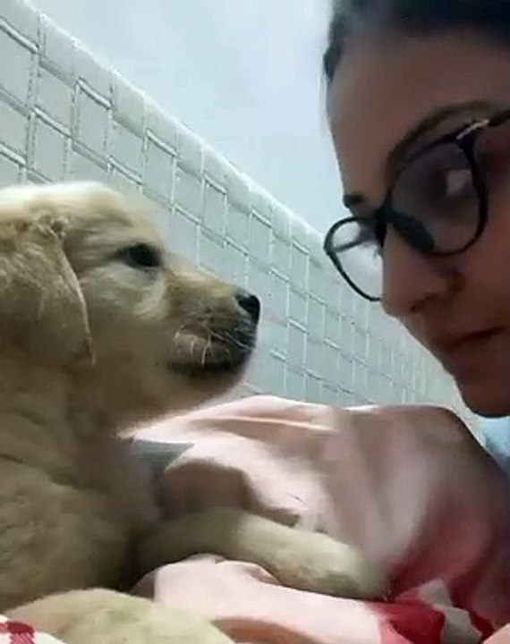 Loving Puppy Returns Adorable Forehead Kisses