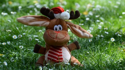 Tu MRI girlfriend m Tera boyfriend