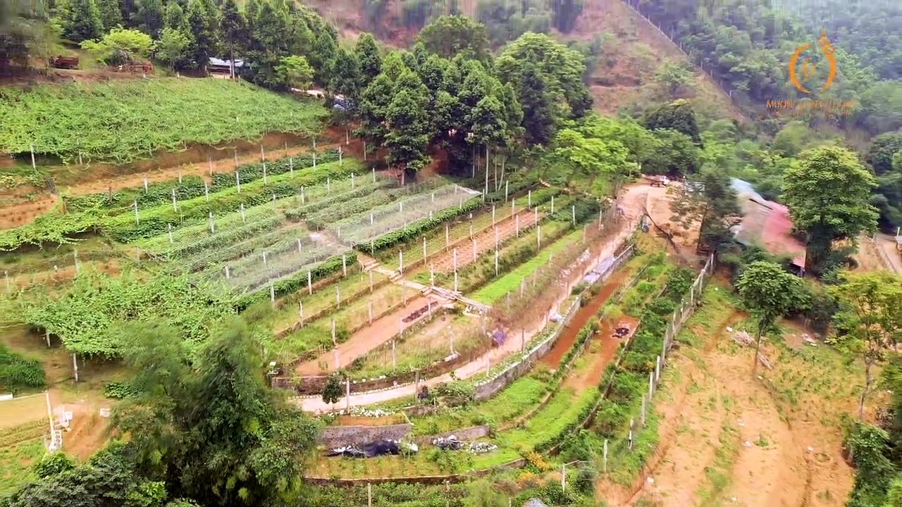 Mường Bi - Giới Thiệu