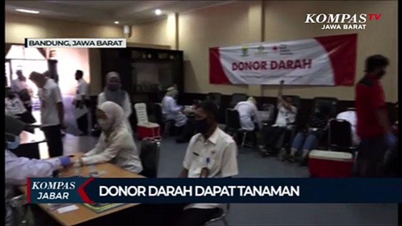 Donor Darah dapat tanaman Gratis...