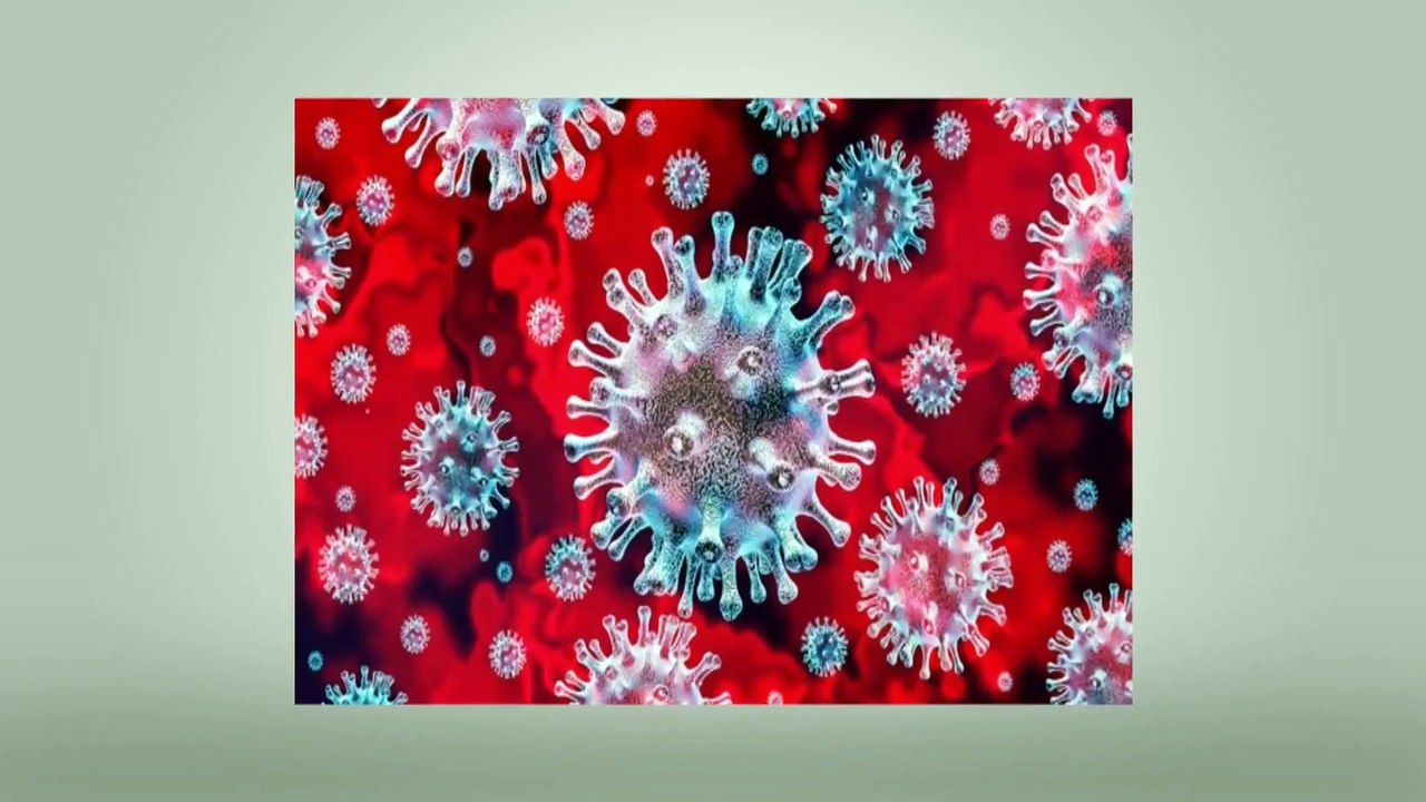 coronavirus: कोरोना के मुख्य प्रोटीन एमप्रो (एं...