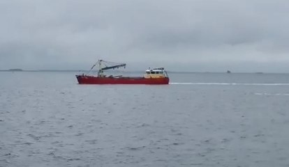 Pêche des premières moules de Zélande de la saison 2020