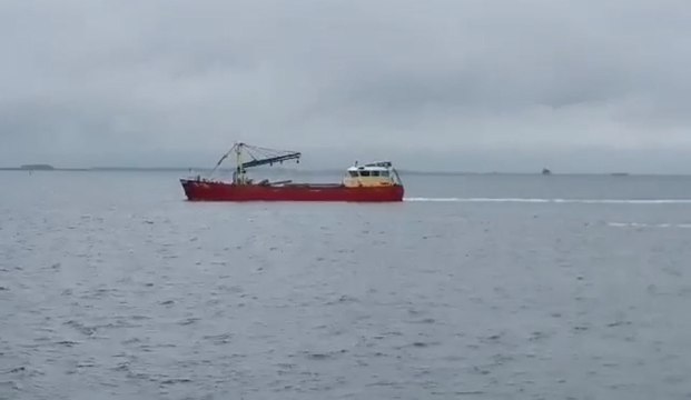 Pêche des premières moules de Zélande de la saison 2020