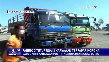 Terpapar Virus Corona, 3000 Karyawan Pabrik Kayu Diliburkan Sementara
