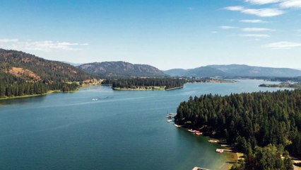 Pexels Videos 2815442