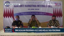 BNNP Lampung Gagalkan Pengiriman 4 Kilogram Ganja Melalui Jasa Pengiriman