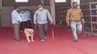 Police team searches Mahakal temple with dog squad