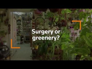 Jordanian doctor transforms clinic into garden