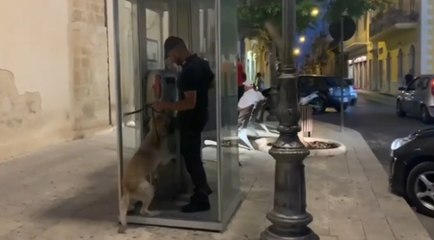 Descargar video: Ragusa - Controlli tra Santa Croce Camerina e Marina: un arresto per aggressione (09.07.20)