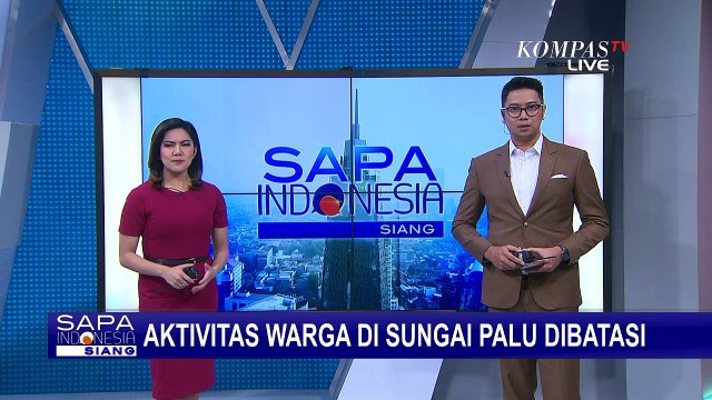 Rawan Serangan Buaya, BKSDA Larang Warga Dekati Perairan Sungai Palu