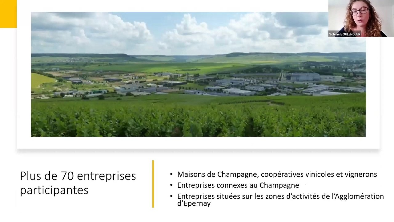 Replay Webinaire - Comment mobiliser les entreprises de son territoire sur les questions de mobilité ? – le 17 juin 2020