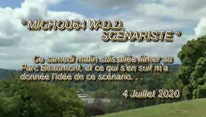 MICHOU64 W-D.D. SCÉNARISTE - 4 JUILLET 2020 - PAU - QUAND ON N'A PAS DE TËTE. . .