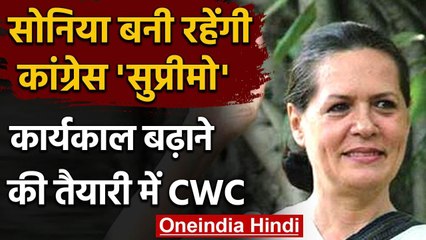 Sonia Gadhi की Congress के अंतरिम अध्यक्ष के रूप में बढ़ेगा कार्यकाल? | वनइंडिया हिंदी