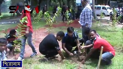 মুজিববর্ষ উপলক্ষ্যে কসবায় উপজেলা ছাত্রলীগের উদ্যোগে ৫ শতাধিক বৃক্ষরোপন