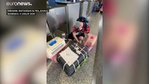 Oltre 70 cani abbandonati in aeroporto a Shanghai